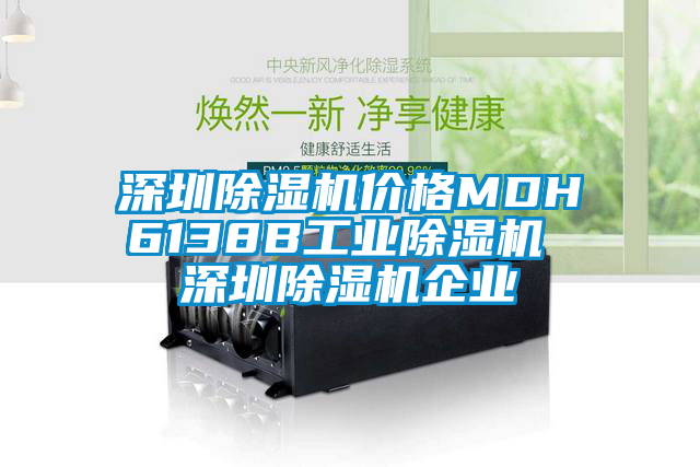 国产精品欧美激情视频 深圳除湿机价格MDH6138B工业除湿机 深圳除湿机企业