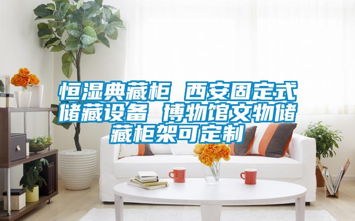 国产精品探花在线观看 恒湿典藏柜 西安固定式储藏设备 博物馆文物储藏柜架可定制