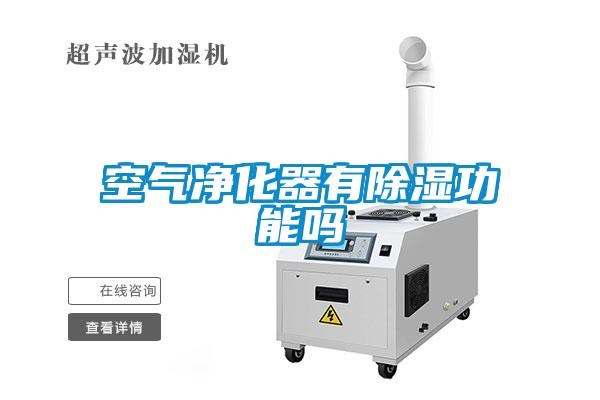 国产精品欧美激情视频 空气净化器有除湿功能吗