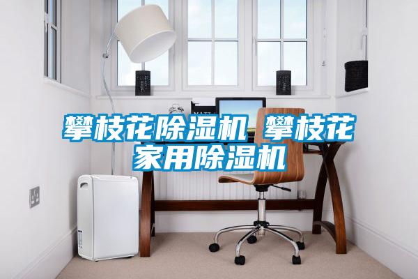 国产精品欧美激情视频 攀枝花除湿机◆攀枝花家用除湿机