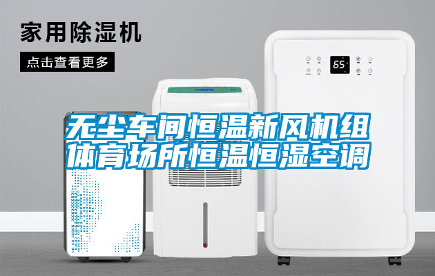 国产精品欧美激情视频 无尘车间恒温新风机组体育场所恒温恒湿空调