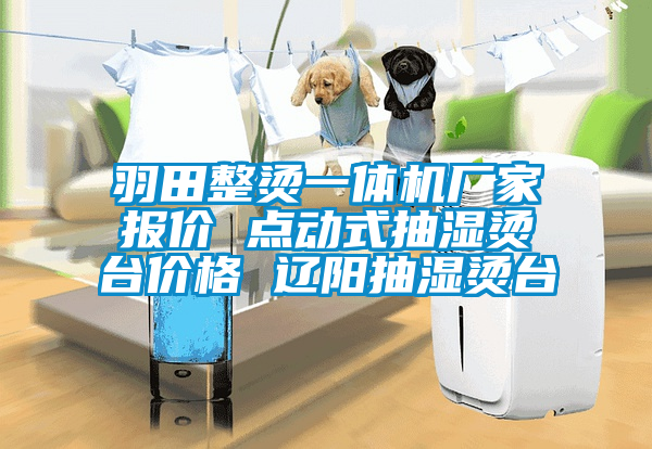 国产精品三级在线观看 羽田整烫一体机厂家报价 点动式抽湿烫台价格 辽阳抽湿烫台