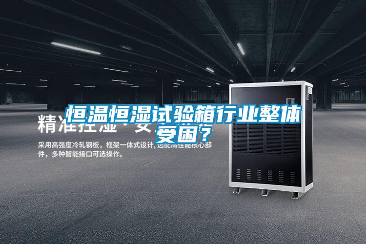 国产精品欧美激情视频 恒温恒湿试验箱行业整体受困？
