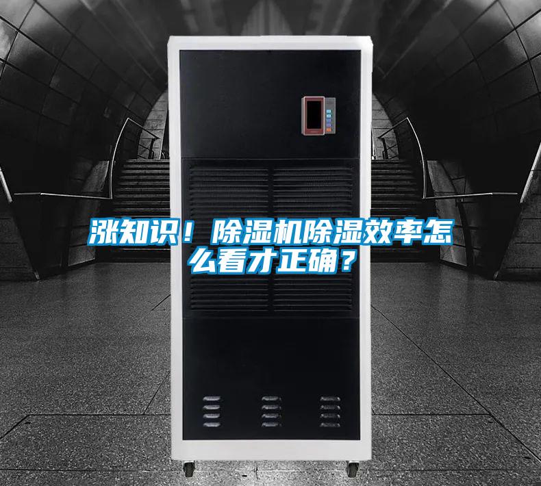 国产精品欧美激情视频 涨知识！除湿机除湿效率怎么看才正确？
