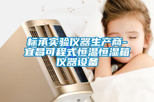 国产精品欧美激情视频 标承实验仪器生产商-宜昌可程式恒温恒湿箱仪器设备