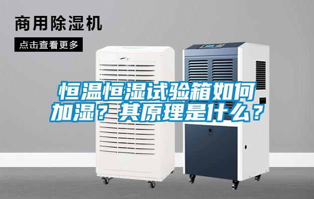国产精品欧美激情视频 恒温恒湿试验箱如何加湿？其原理是什么？