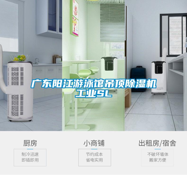 国产精品三级在线观看 广东阳江游泳馆吊顶除湿机工业SL