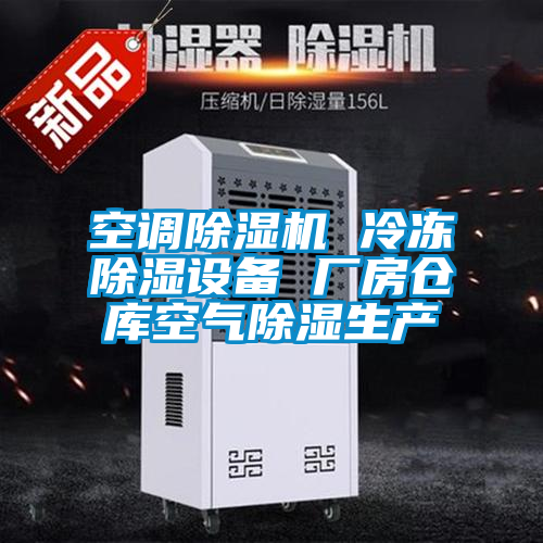 国产精品三级在线观看 空调除湿机 冷冻除湿设备 厂房仓库空气除湿生产