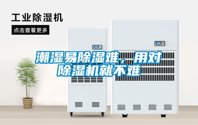 国产精品欧美激情视频 潮湿易除湿难，用对除湿机就不难