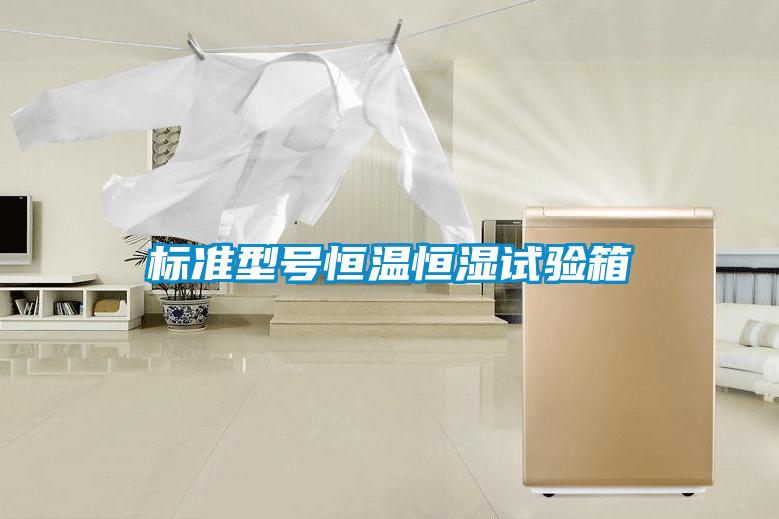 国产精品欧美激情视频 标准型号恒温恒湿试验箱