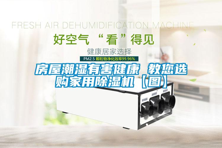 国产精品探花在线观看 房屋潮湿有害健康 教您选购家用除湿机【图】