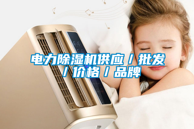 国产精品欧美激情视频 电力除湿机供应／批发／价格／品牌
