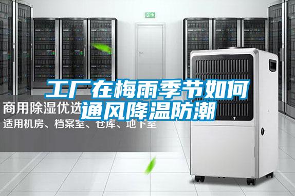 国产精品三级在线观看 工厂在梅雨季节如何通风降温防潮