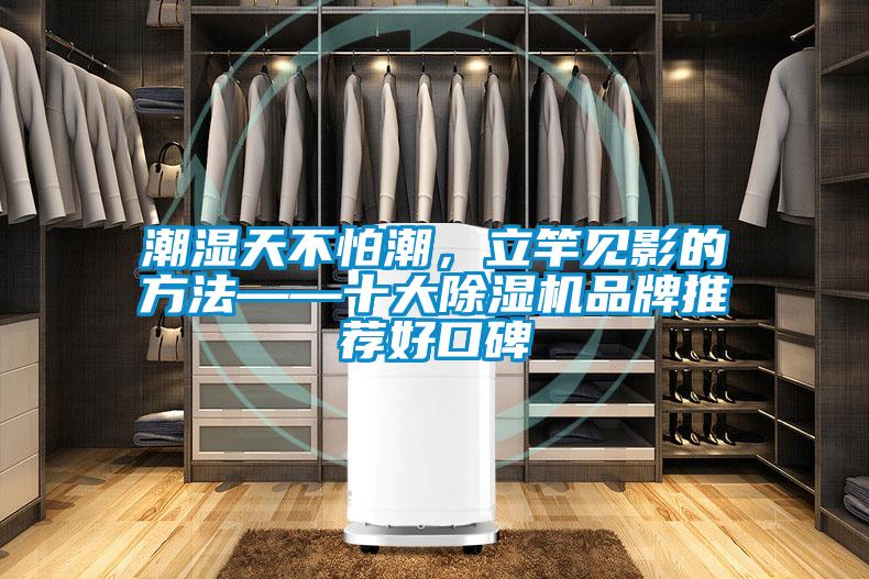 国产精品三级在线观看 潮湿天不怕潮，立竿见影的方法——十大除湿机品牌推荐好口碑