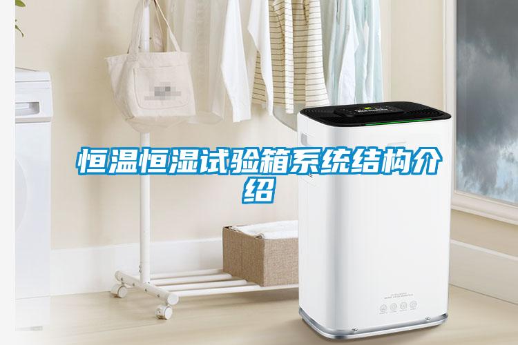 国产精品三级在线观看 恒温恒湿试验箱系统结构介绍