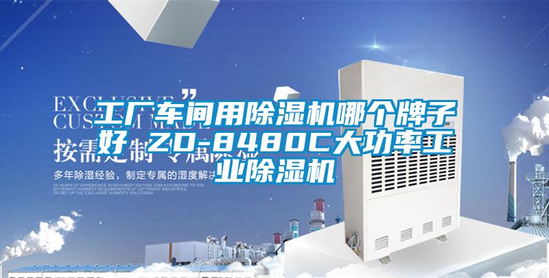 国产精品三级在线观看 工厂车间用除湿机哪个牌子好 ZD-8480C大功率工业除湿机