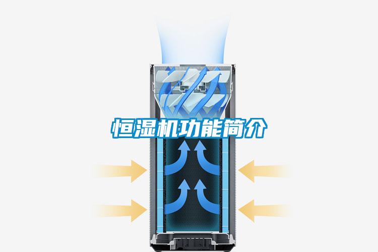 国产精品欧美激情视频 恒湿机功能简介