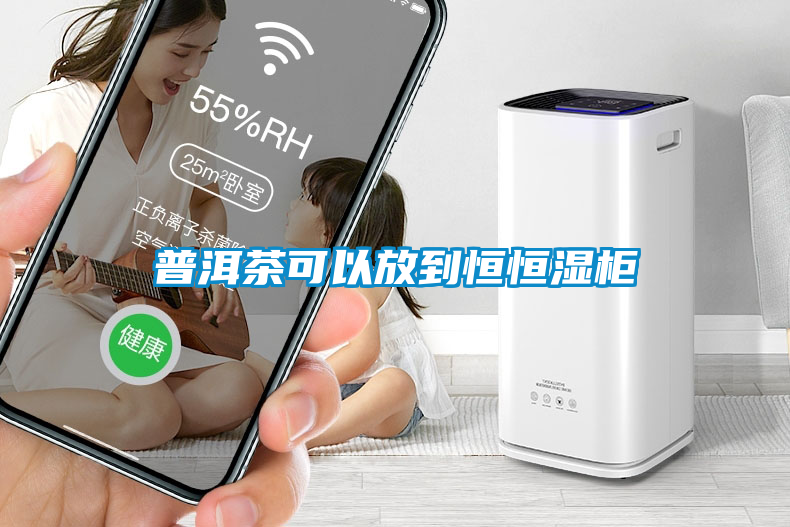 国产精品探花在线观看 普洱茶可以放到恒恒湿柜