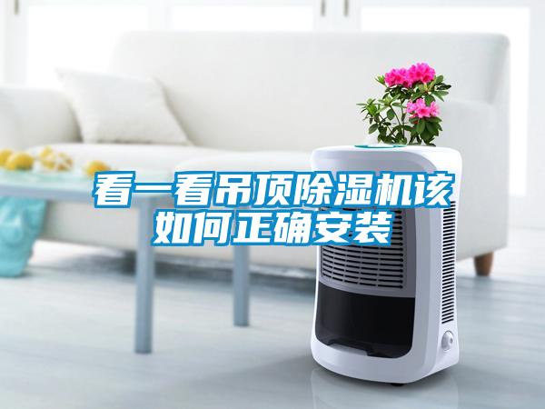国产精品探花在线观看 看一看吊顶除湿机该如何正确安装