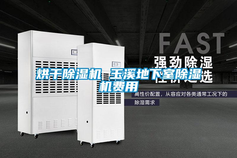 国产精品探花在线观看 烘干除湿机 玉溪地下室除湿机费用
