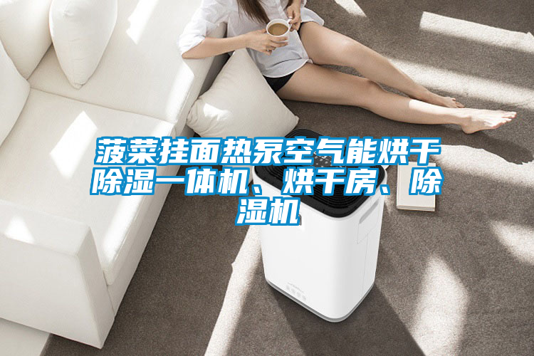 国产精品三级在线观看 菠菜挂面热泵空气能烘干除湿一体机、烘干房、除湿机