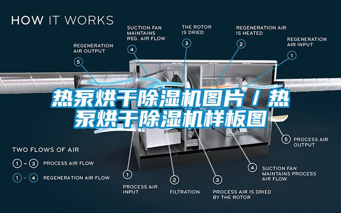 国产精品三级在线观看 热泵烘干除湿机图片／热泵烘干除湿机样板图