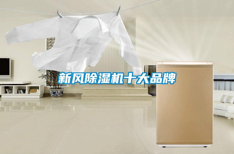 国产精品欧美激情视频 新风除湿机十大品牌