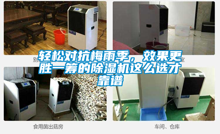 国产精品三级在线观看 轻松对抗梅雨季，效果更胜一筹的除湿机这么选才靠谱
