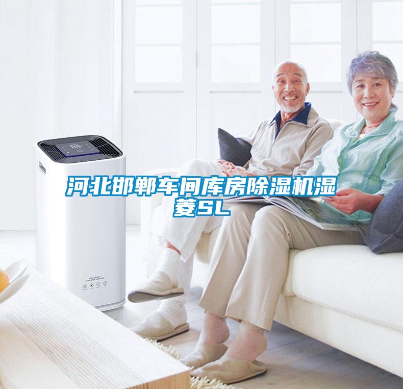 国产精品探花在线观看 河北邯郸车间库房除湿机湿菱SL