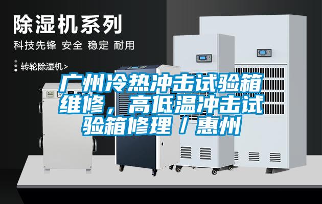 国产精品欧美激情视频 广州冷热冲击试验箱维修，高低温冲击试验箱修理／惠州