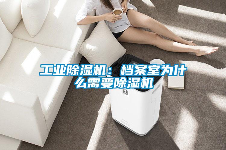 国产精品欧美激情视频 工业除湿机：档案室为什么需要除湿机