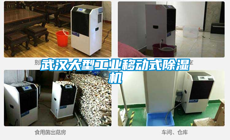 国产精品欧美激情视频 武汉大型工业移动式除湿机