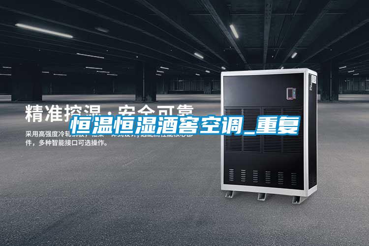 国产精品欧美激情视频 恒温恒湿酒窖空调_重复