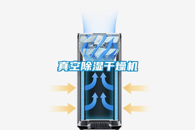 国产精品三级在线观看 真空除湿干燥机