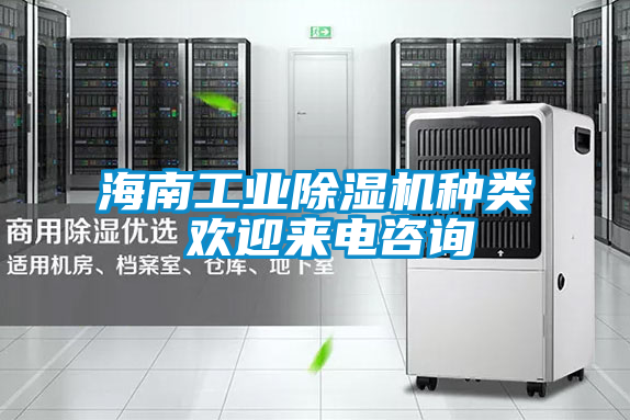 国产精品欧美激情视频 海南工业除湿机种类 欢迎来电咨询