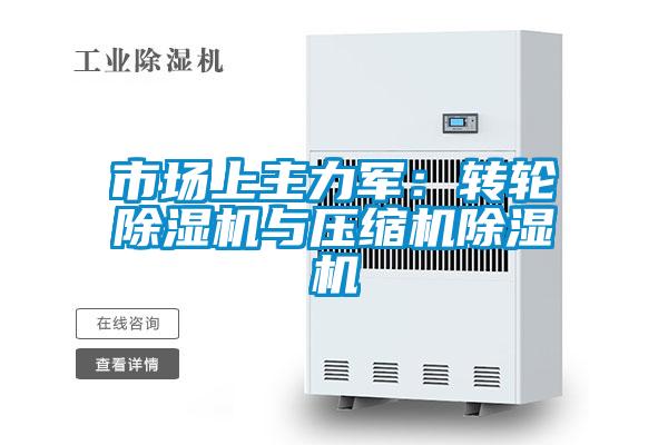 国产精品探花在线观看 市场上主力军：转轮除湿机与压缩机除湿机