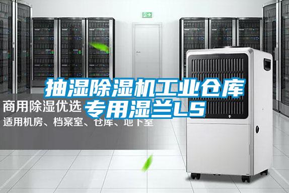 国产精品三级在线观看 抽湿除湿机工业仓库专用湿兰LS