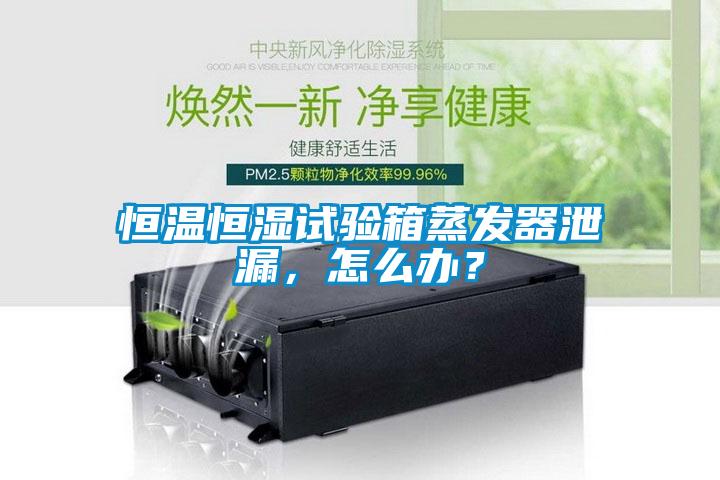国产精品探花在线观看 恒温恒湿试验箱蒸发器泄漏，怎么办？