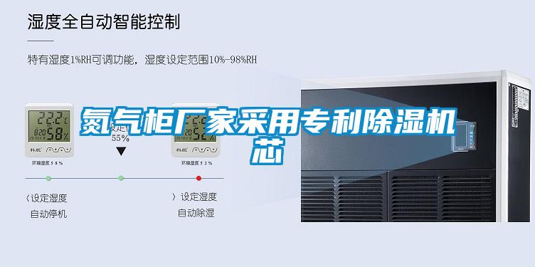 国产精品欧美激情视频 氮气柜厂家采用专利除湿机芯