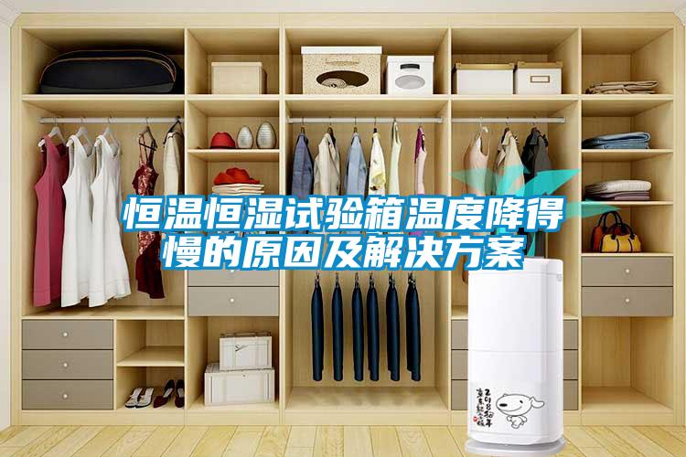 国产精品探花在线观看 恒温恒湿试验箱温度降得慢的原因及解决方案