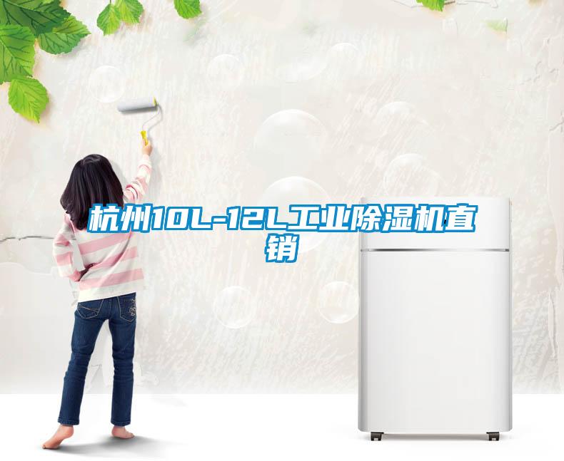 国产精品三级在线观看 杭州10L-12L工业除湿机直销