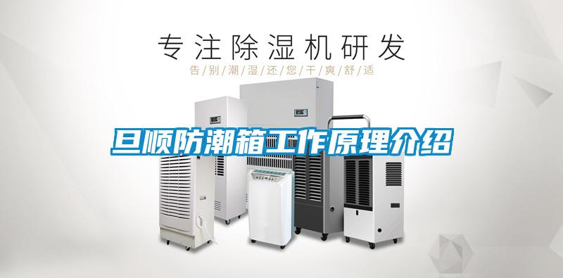 国产精品三级在线观看 旦顺防潮箱工作原理介绍