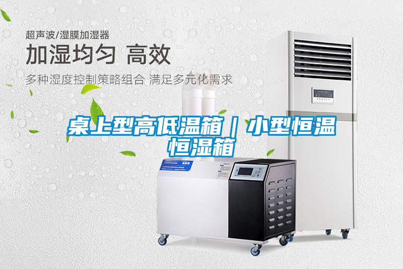 国产精品欧美激情视频 桌上型高低温箱｜小型恒温恒湿箱