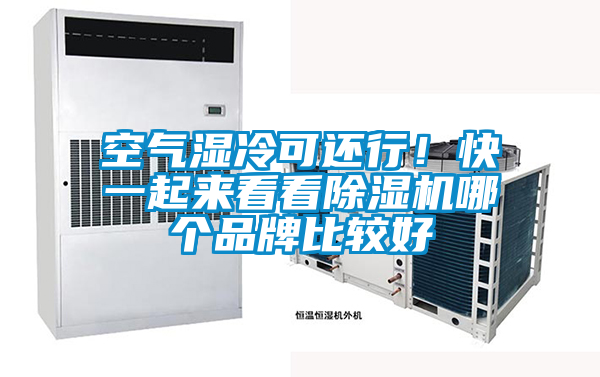 国产精品欧美激情视频 空气湿冷可还行！快一起来看看除湿机哪个品牌比较好