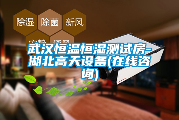 国产精品探花在线观看 武汉恒温恒湿测试房-湖北高天设备(在线咨询)