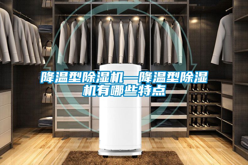 国产精品三级在线观看 降温型除湿机—降温型除湿机有哪些特点