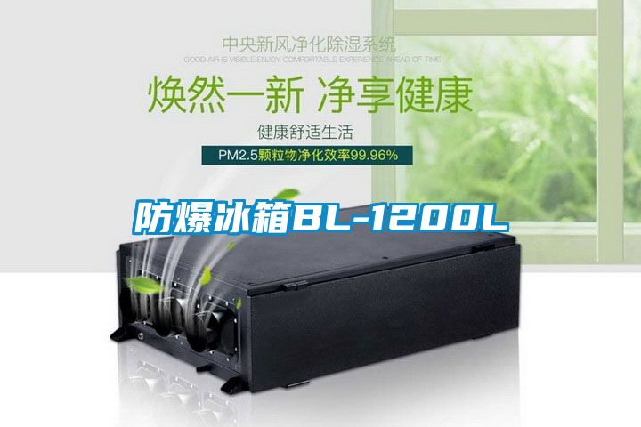 国产精品欧美激情视频 防爆冰箱BL-1200L