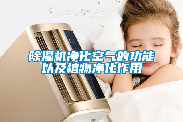 国产精品三级在线观看 除湿机净化空气的功能以及植物净化作用