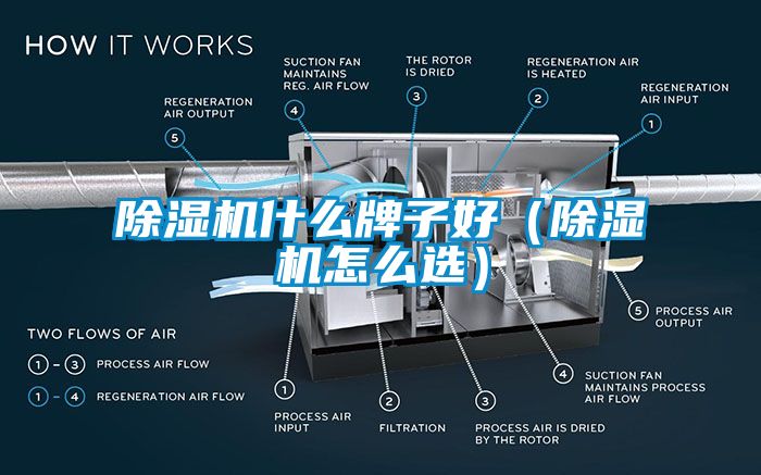 国产精品探花在线观看 除湿机什么牌子好（除湿机怎么选）