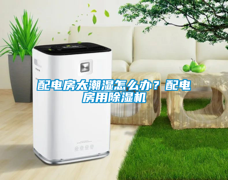 国产精品欧美激情视频 配电房太潮湿怎么办？配电房用除湿机